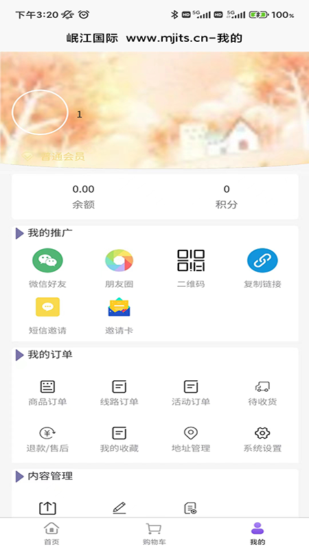 岷江国际app图2