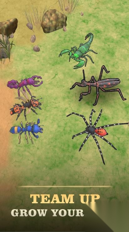 Ant Kingdom