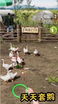 天天套圈游戏图2