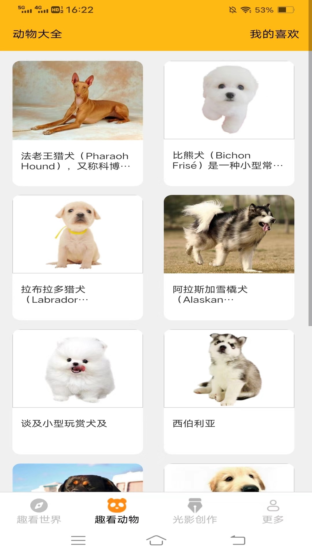 光影趣看app图3