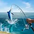 Fishing Drive Simulator手机版图标