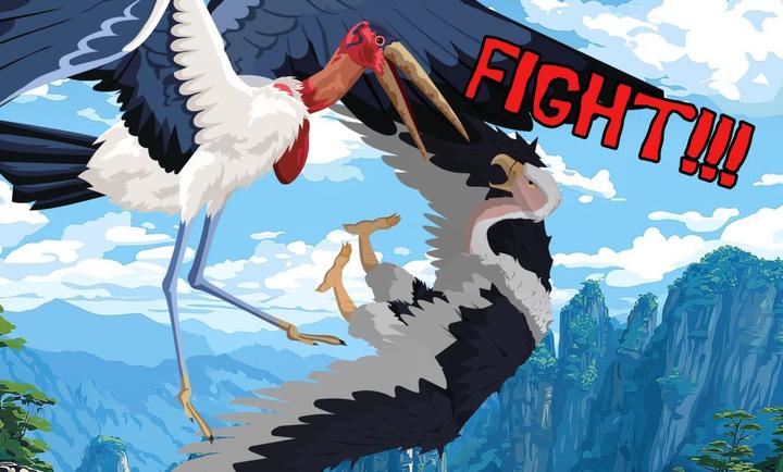 鸟类战争游戏图3