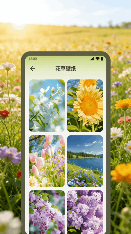 轻花有品鉴赏app图1