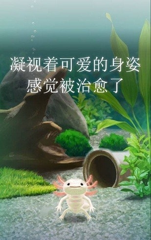 治愈的蝾螈手游图1