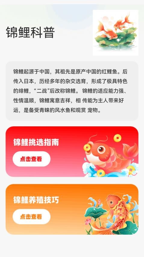 锦鲤迎春app图4