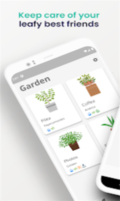 Florae软件图1