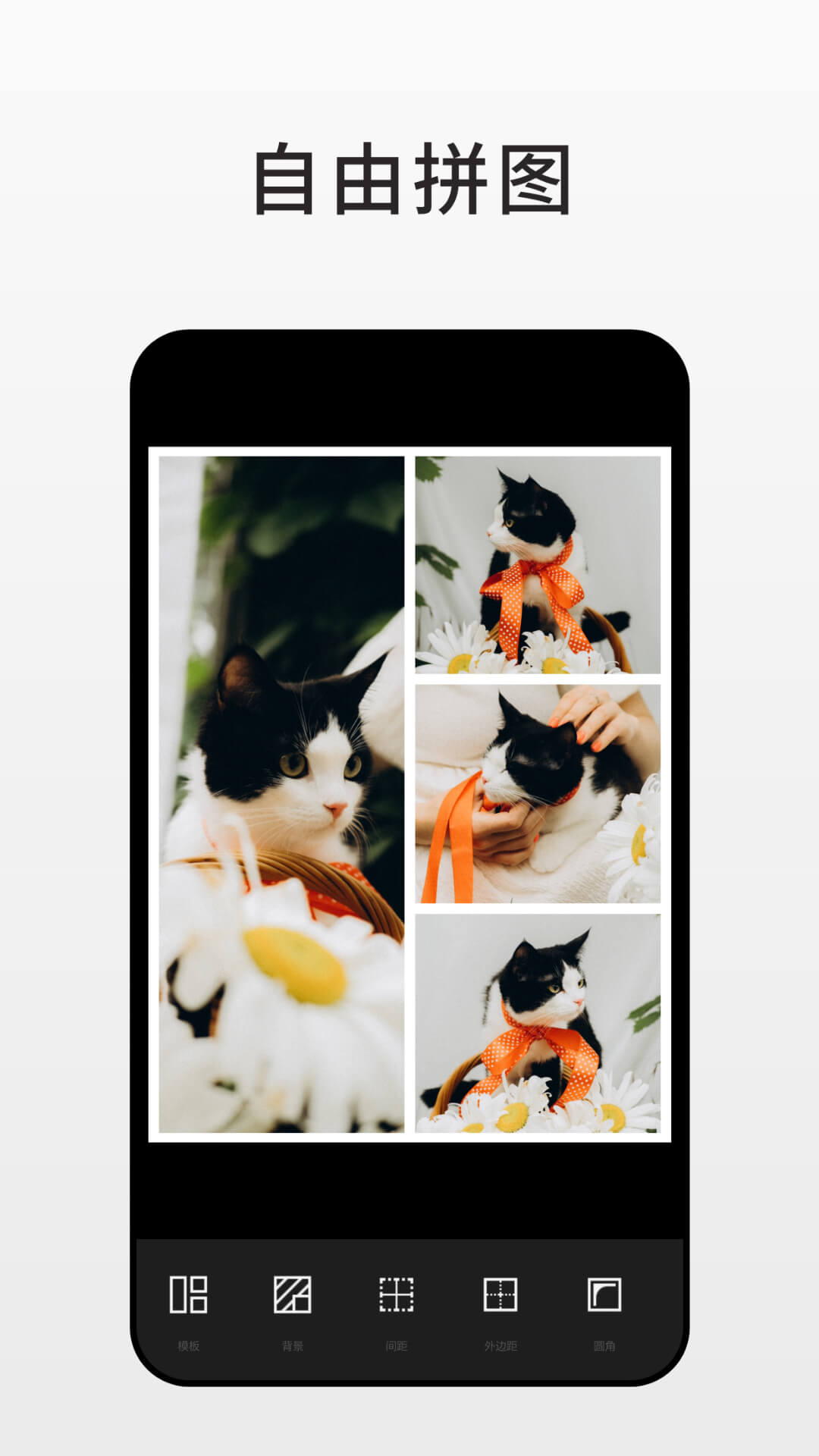 Fotor软件图2