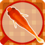 Goldfish Scooping游戏图标