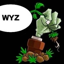植物大战僵尸WYZ支线手机版图标