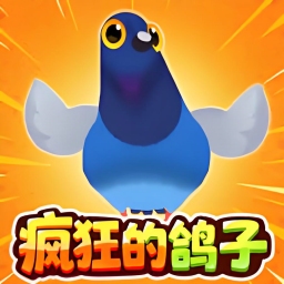 鸽子疯狂游戏图标