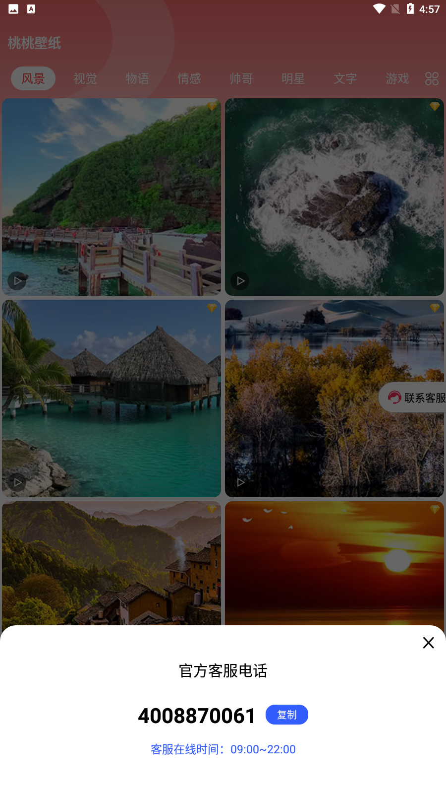 桃桃壁纸软件图3