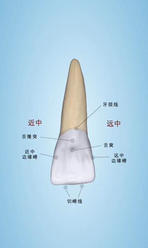 口腔健康计划app图1