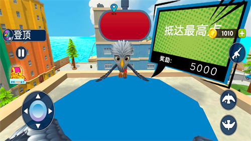 鸽子大作战游戏图3