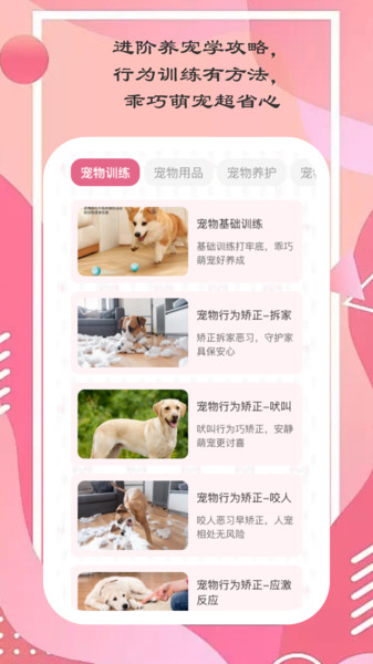 爱猫养成记app