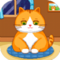 猫猫来了游戏图标