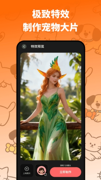 猫语翻译器Zoi app图4