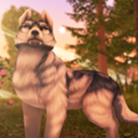 Wolf Tales: Home & Heart游戏图标