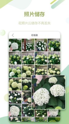 绿手指app图4