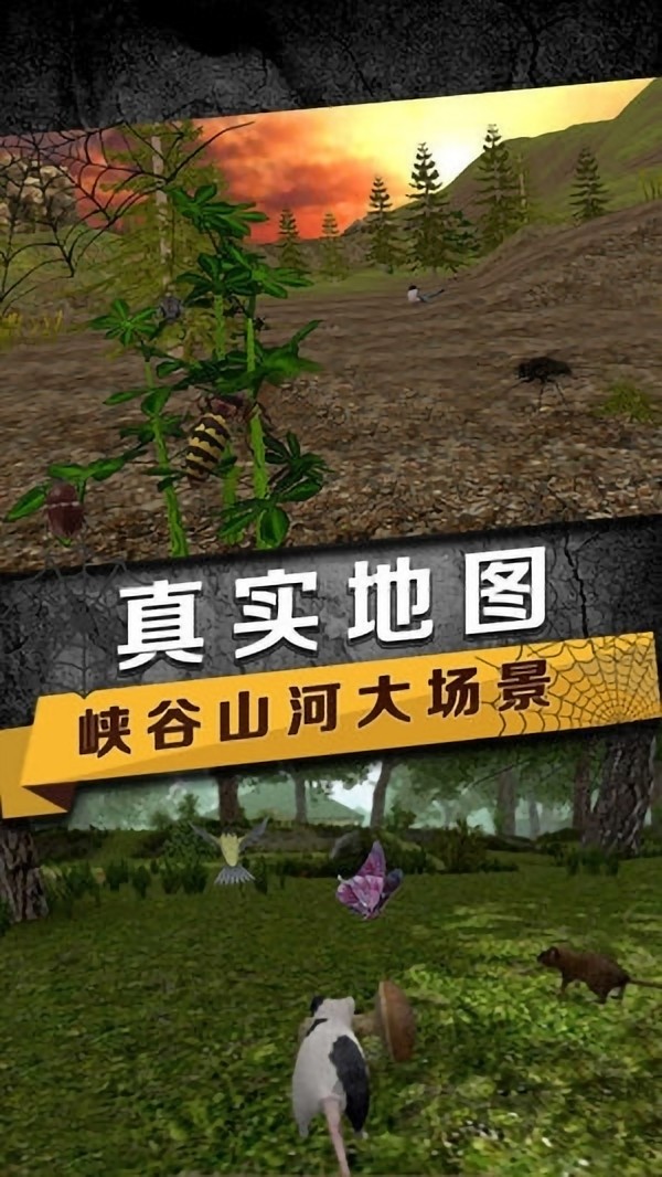 蜘蛛生存模拟图2