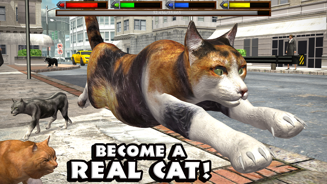 终极猫模拟器(RTK_UltCatSim)图1