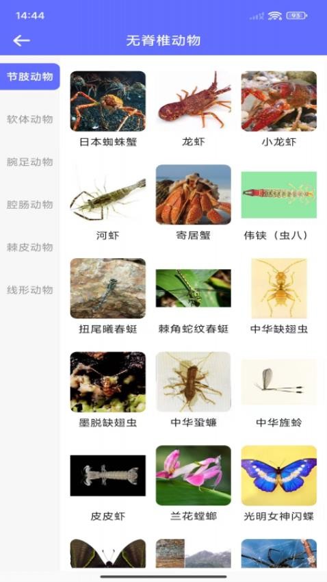 动物拍照识别app图1