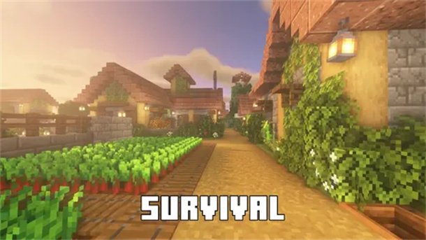 Craftsman Survival World游戏