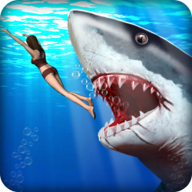 愤怒的鲨鱼猎人（Angry Shark Hunter）游戏图标