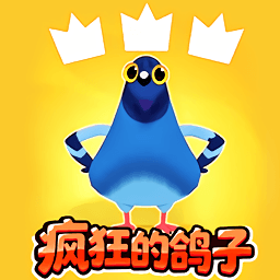 疯狂的鸽子挑战游戏图标