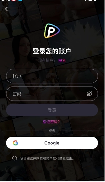 Pollo图1