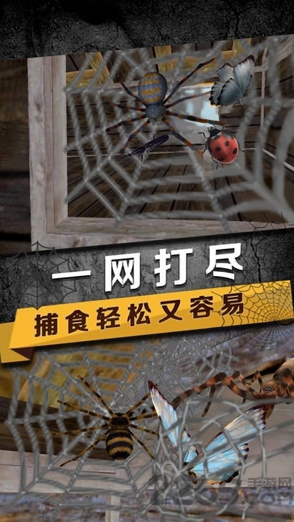 蜘蛛生存模拟图1