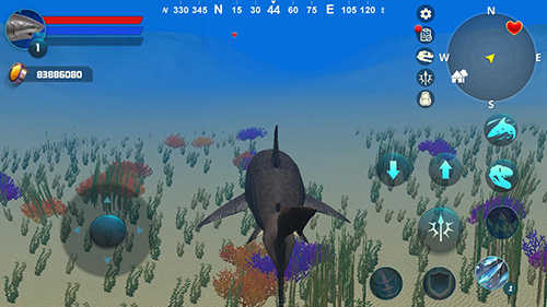 Megalodon Simulator游戏