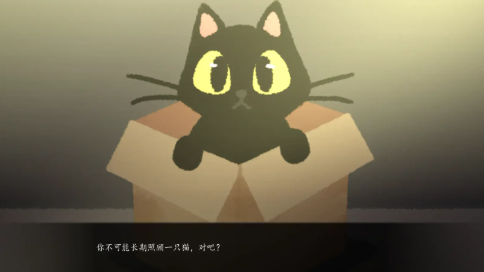 别带这只猫回家游戏图3