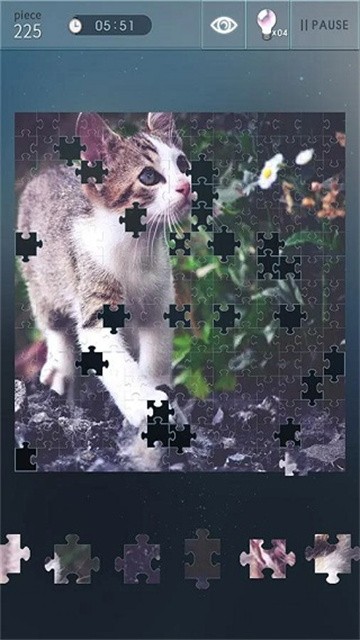 Jigsaw puzzle world游戏图3