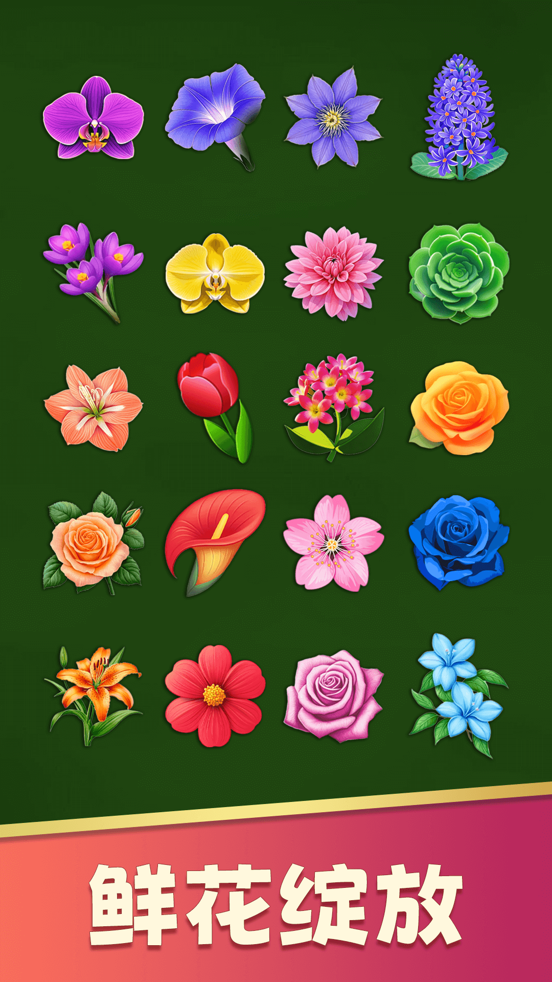花朵收藏家游戏图3