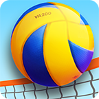 Beach Volleyball手游图标