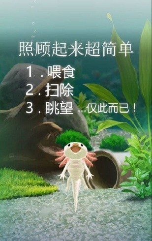 治愈的蝾螈手游图2