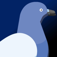 Pigeon Attack游戏图标