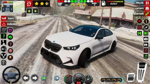 Real Open World Car Simulator游戏