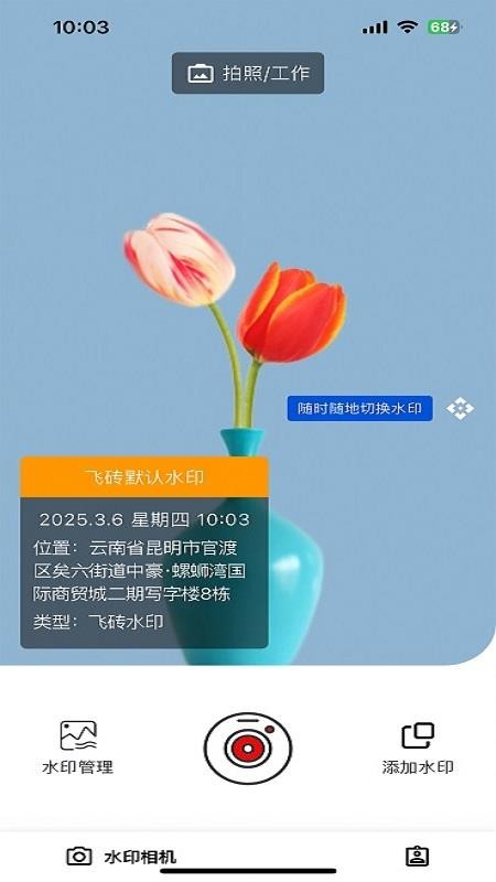 飞砖app