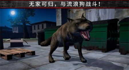 荒野流浪记游戏图1