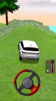 真实汽车驾驶3D图3