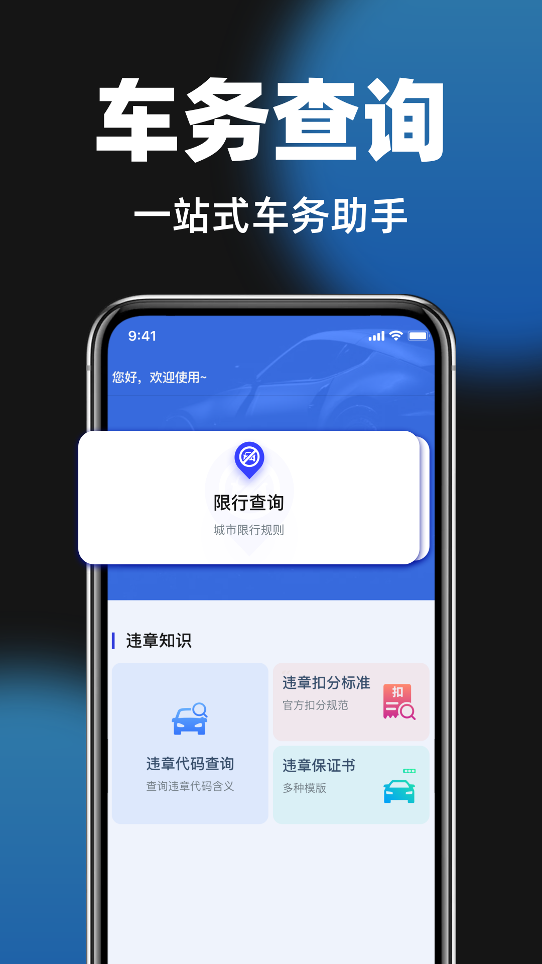汽车违章代码查app图4