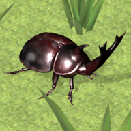 Bug Battle Simulator图标