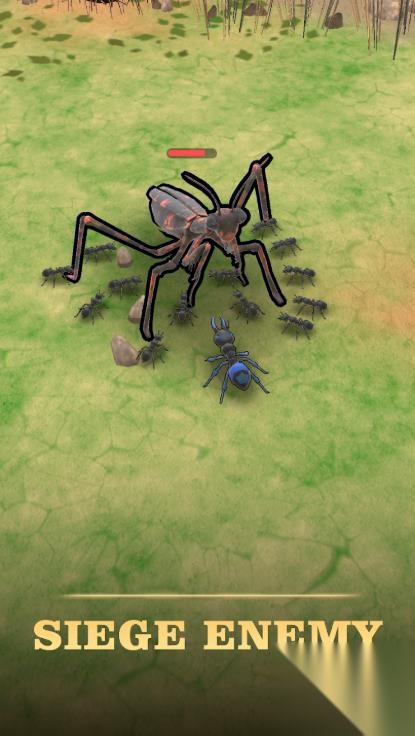 Ant Kingdom图1