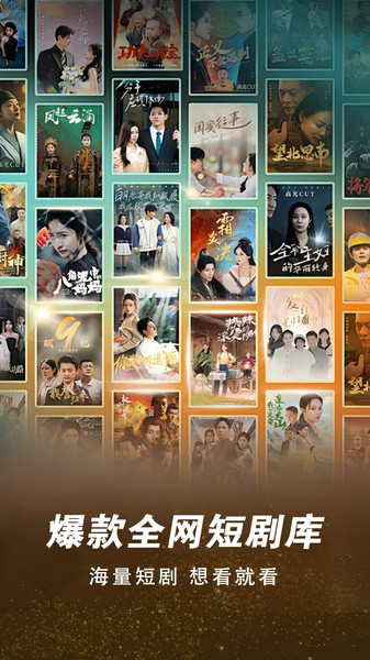 免费短剧全部看app图4