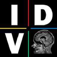 IDV软件图标