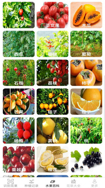 果蔬宝典app