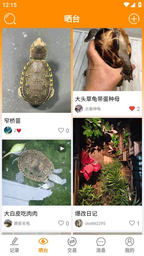 龟圈江湖app