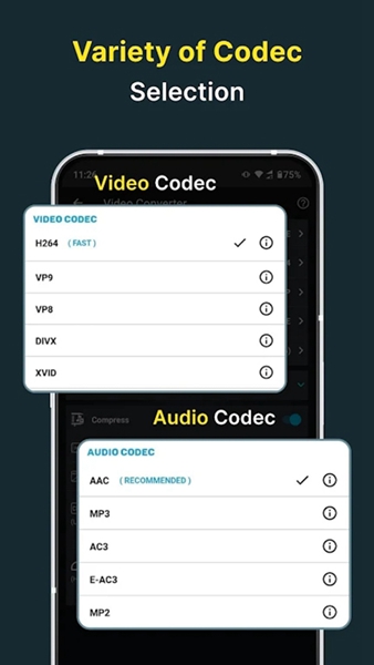 Video Converter图1