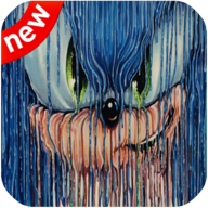 Coloring Soni Book Free game图标